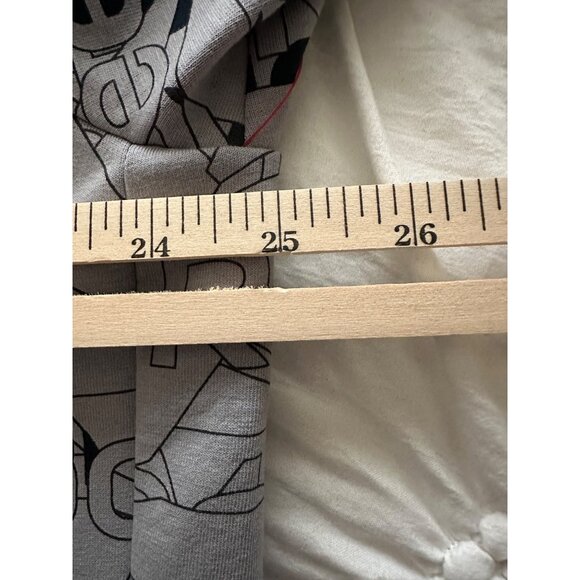 Reebok Classic Graphic Logo Hoodie Sweatshirt Men's SZ XL Sleet Grey NWT - Picture 3 of 9